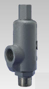 Steel Safety Valves for Steam, Gas and Liquid Service image